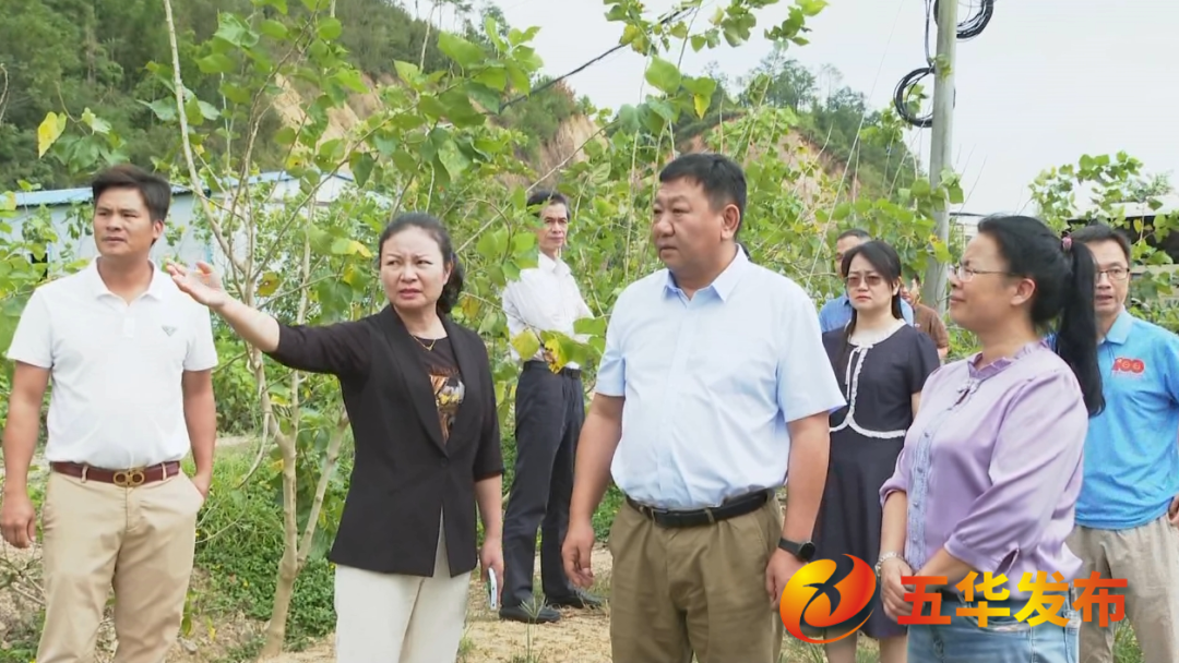 代偉一行到五華縣調研“百千萬工程”建設